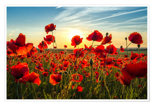 Madame Françoise BOUCHE