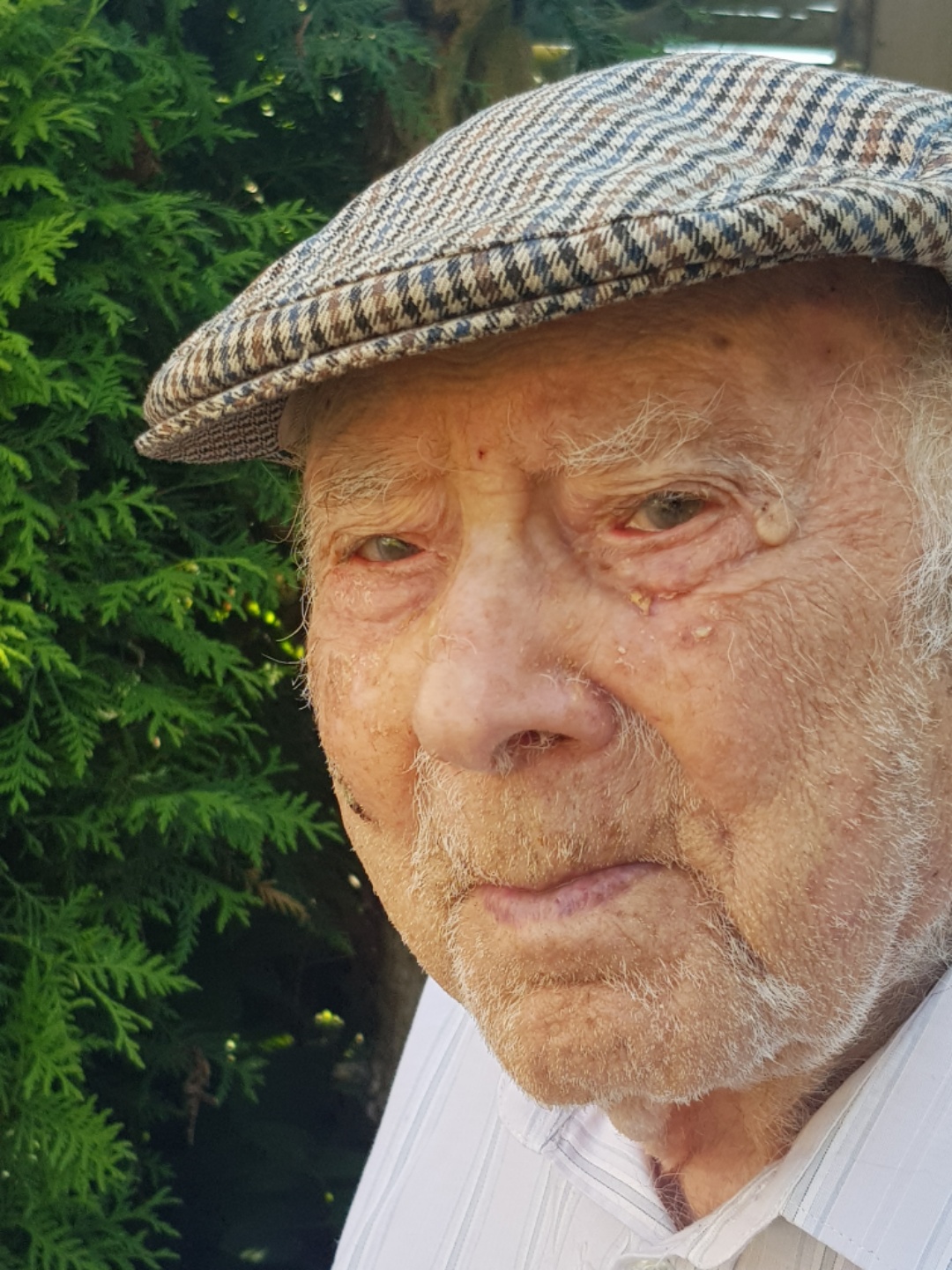 M. Epifanio FIORENZA